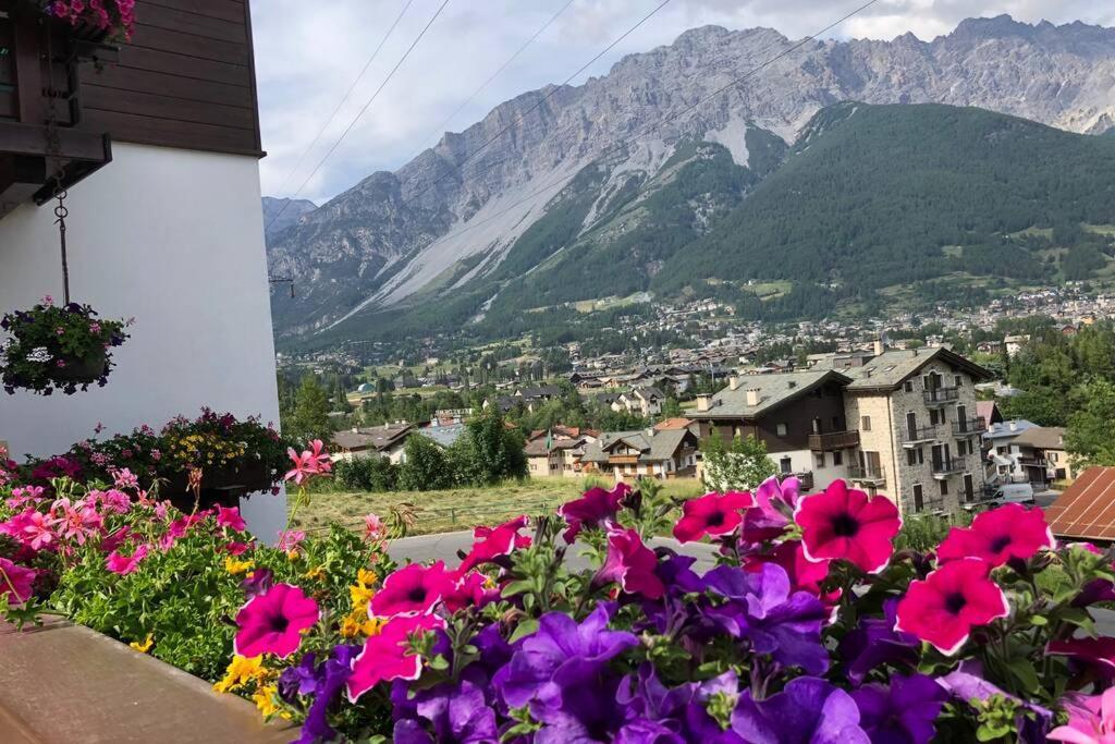 Appartamento A Due Passi Da Bormio Valdisotto Ngoại thất bức ảnh