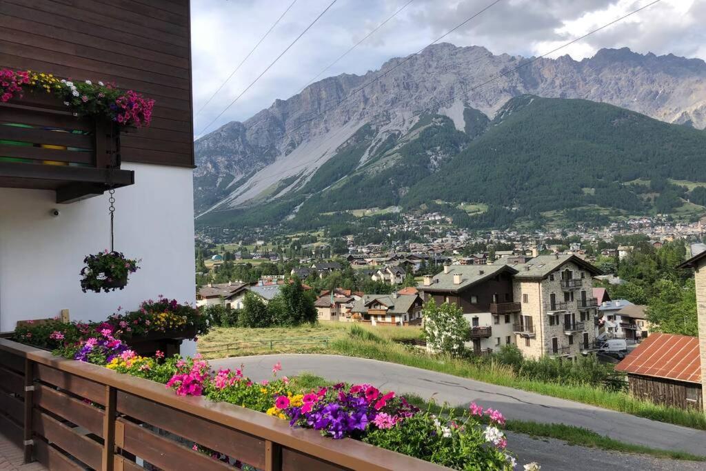 Appartamento A Due Passi Da Bormio Valdisotto Ngoại thất bức ảnh